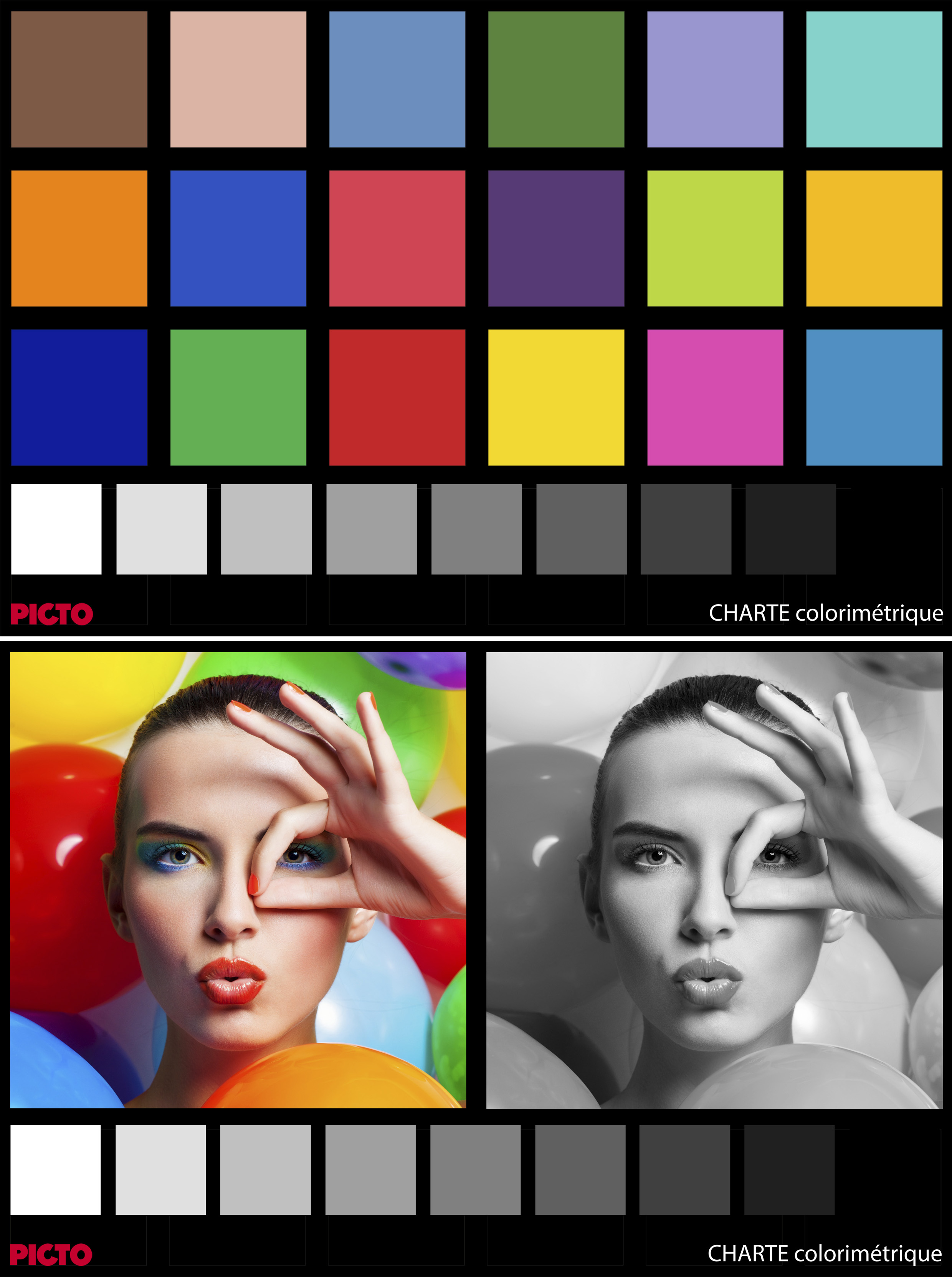 Charte colorim&eacute;trique PICTO