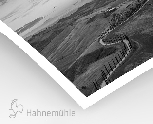 Hahnemühle Photo RC satiné 310g (sur Epson Noir et Blanc)