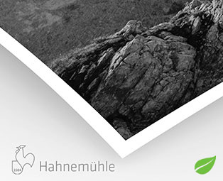 Bamboo Natural Line Hahnemühle 290g (sur Piezo Pro Charbon )