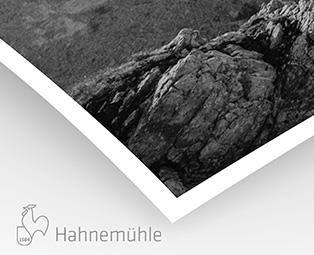 Bright White Hahnemühle 310g (sur Piezo Pro Charbon)