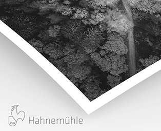 William Turner Hahnemühle 310g (sur Piezo Pro Charbon)