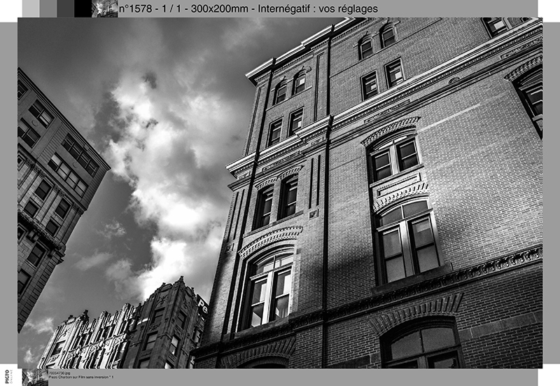 Film Noir et Blanc (sans inversion, sans intervention PICTO), image pr&eacute;par&eacute;e par vos soins