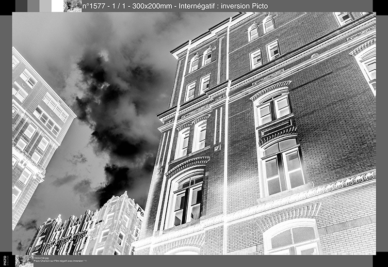 Film n&eacute;gatif Noir et Blanc, l'inversion est r&eacute;alis&eacute;e par PICTO