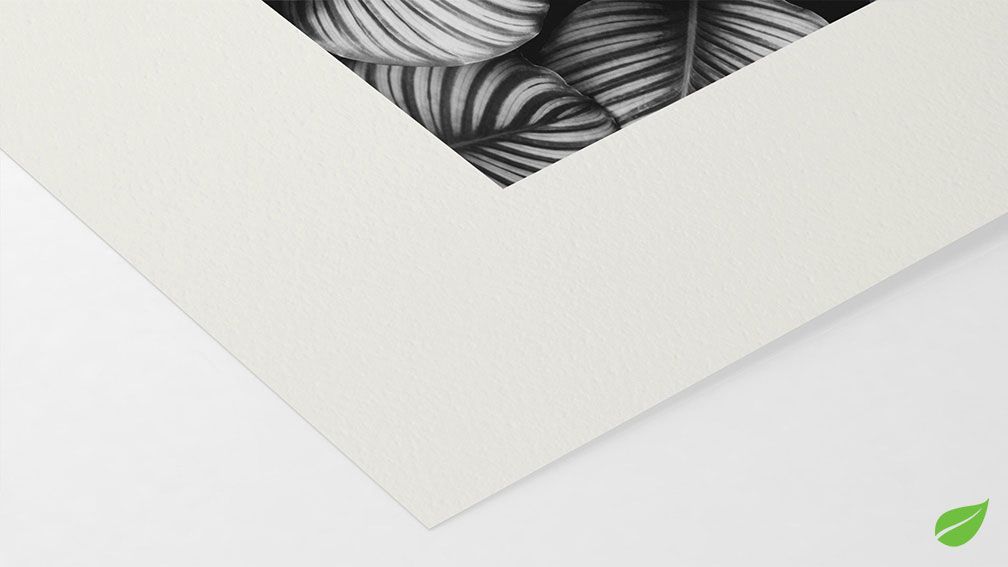 Bamboo Natural Line Hahnemühle 290g (sur Epson Noir et Blanc)}