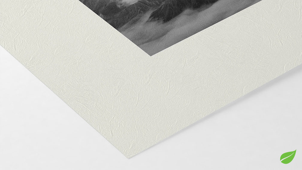 Unryu 55g (sur Epson Noir et Blanc)}