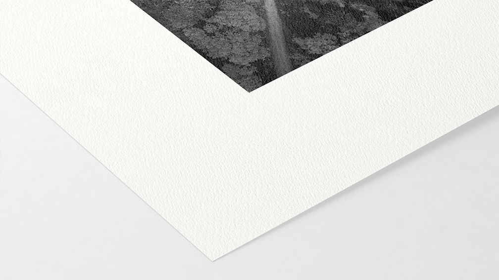 William Turner Hahnemühle 310g (sur Epson Noir et Blanc)}