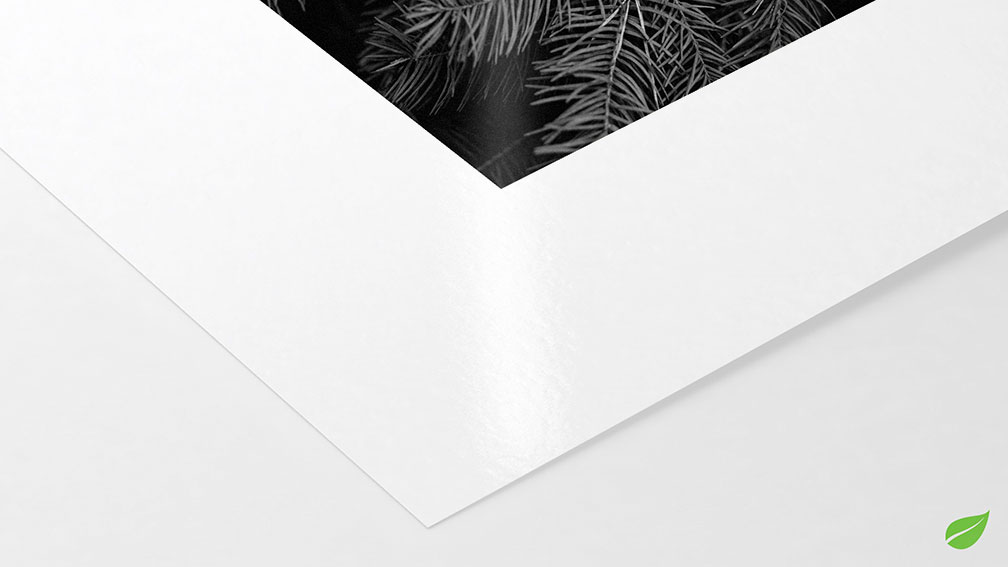 Sustainable Photo Satin Hahnemühle 220g (sur Epson Noir et Blanc)}