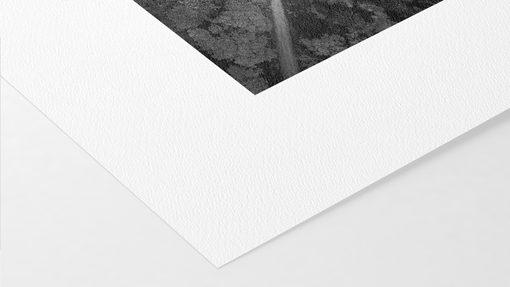 William Turner Hahnemühle 310g (sur Piezo Pro Charbon)}