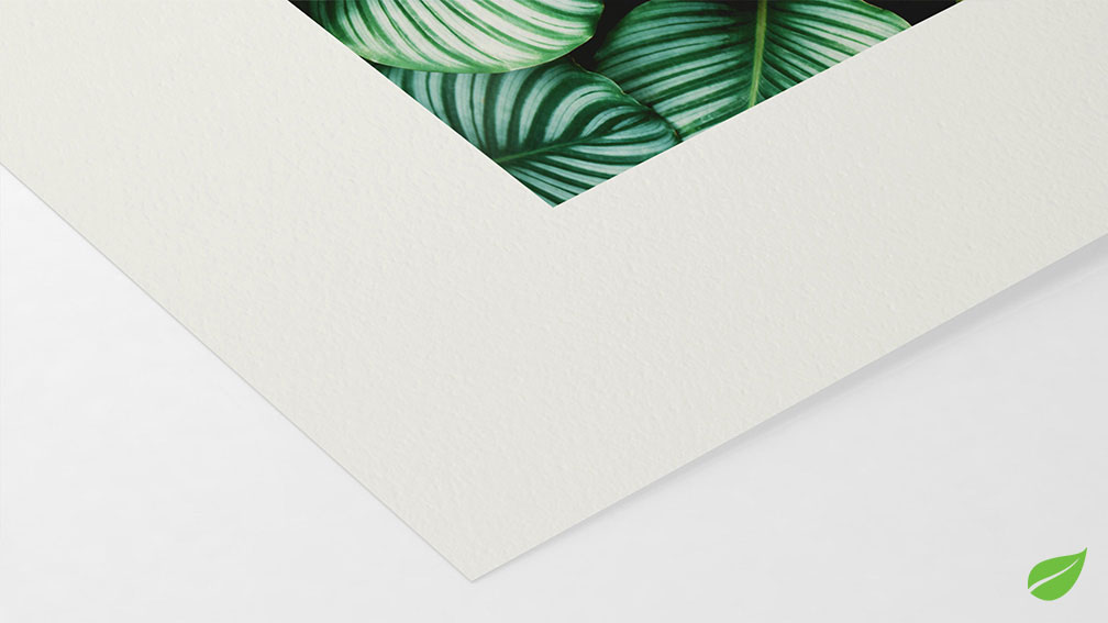 Bamboo Natural Line Hahnemühle 290g (sur Epson)}