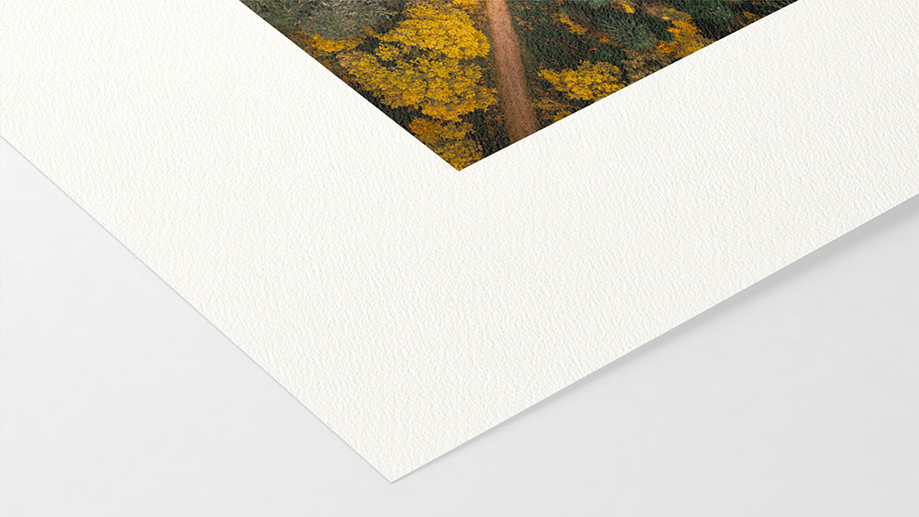 William Turner Hahnemühle 310g (sur Epson)}